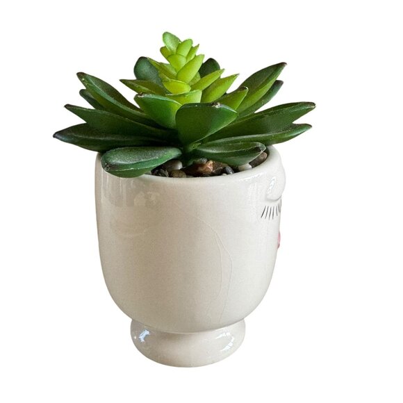 Ceramic Face Planter With Artificial Succulent Plant - Picture 2 of 5